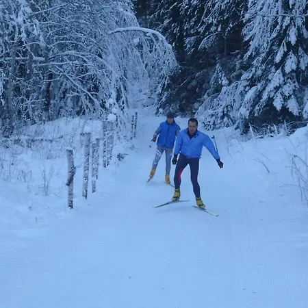 Πανσιόν Gatterer 3*