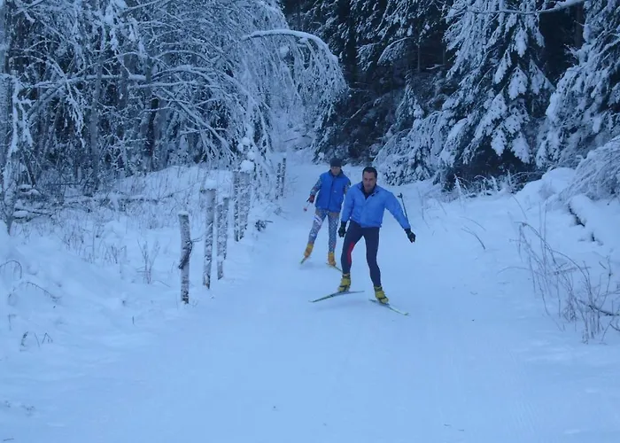 Pensjonat Gatterer 3*