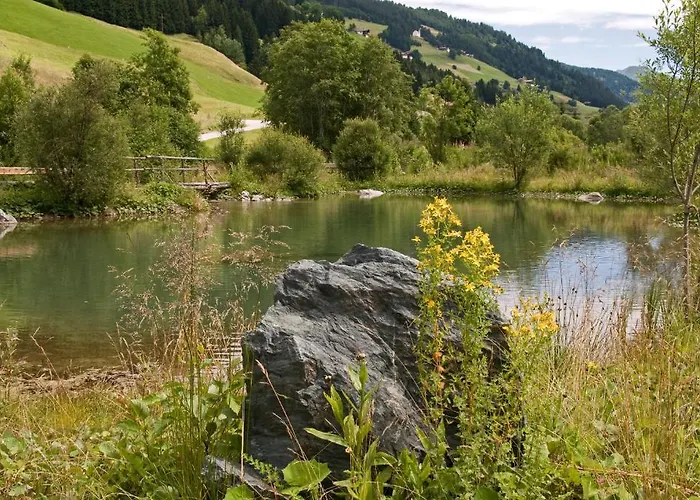 Gatterer Affittacamere